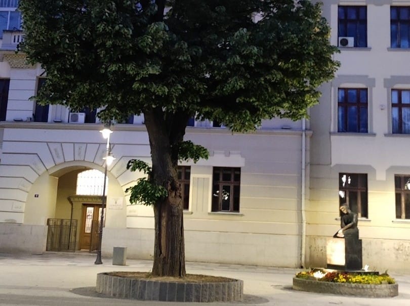 Дрво спознаје